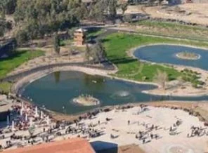 'Doğal Yaşam Parkı'na Mekke'den ödül