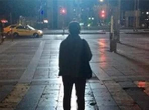 'Duran kadın' bu kez Lice için durdu