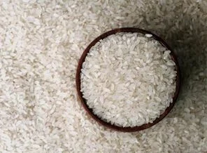 'GDO'lu pirinçte Başbakanı üç bakan yanılttı'