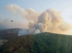 Gelibolu'daki yangın, asırlık ağaçları kül etti