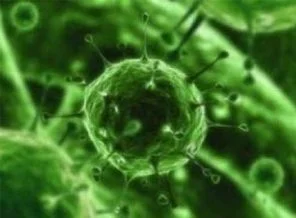 Hepatit yılda bir milyon insanı öldürüyor