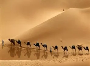 Hicret yolunda hangi sahabi vefat etti?