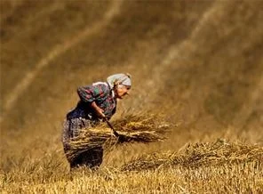 Kadına ayrımcılık ücrette de sürüyor