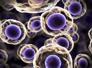 Kanser HIV'den kurtardı!