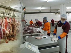 'Kendi çocuklarıma da yediririm' yalanı