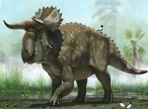 Nasutoceratops: Büyük burunlu, boynuz suratlı dinozor
