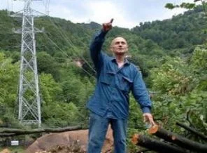 O ağaçlar için suç duyurusu!