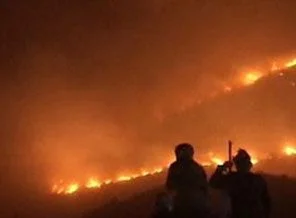 Orman yangınlarının tamamı insan kaynaklı