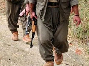 PKK, Tatvan'da 3 kepçe operatörünü kaçırdı