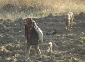 Sarısülük'ün babası yardım teklifini kabul etmedi