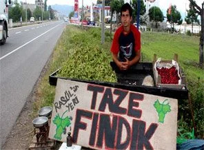 Sezonun ilk fındığı için istenen fiyat
