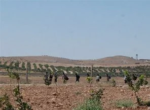 Suriye sınırında bir kaçakçı öldü