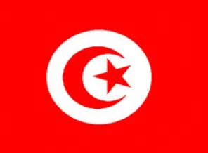 Tunus'tan Mısırlılara çağrı