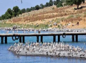 Turizm cenneti cehenneme dönüyor