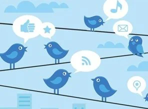 Twitter'da 'yumurta hesap' kapatılıyor