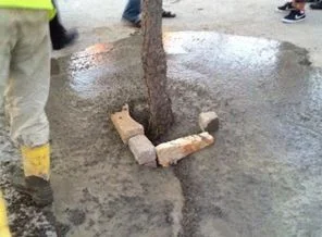 Ulusoy Turizm'den 'beton' açıklaması: Ülkeye ağaç değil terminal lazım