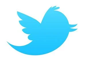 Uzmanları Twitter'daki operasyonu savundu