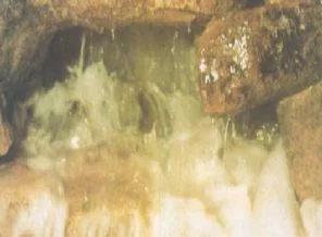 Zemzem suyunun mucizesiyle tanıştınız mı?(Foto Galeri)