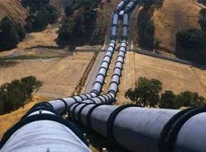 150 hektarlık meşe ormanı 'güvenlik' için mi kesildi?