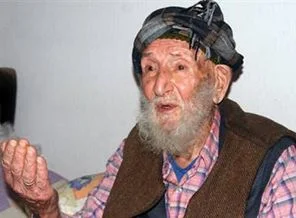 Asırlık çınar devrildi