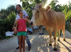 Bu filmin başrol oyuncusu 'Sarı İnek'