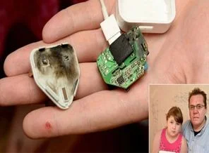 Bu kez iPad şarjı patladı