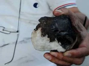 Bu taş Çanakkale'yi korkuttu!