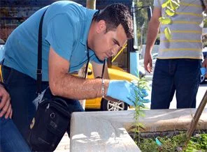 Gezi Parkı yakınında hint keneviri ekmişler