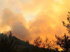 Hatay'da orman yangını