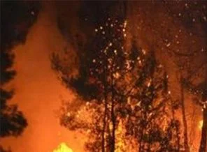 Hatay'daki orman yangını yeniden başladı