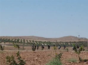 İki ayda yaklaşık 18 bin kaçak yakalandı