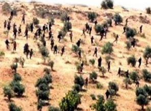 Kaçakçılar mültecileri 'canlı kalkan' yapıyor