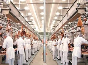 Katkısız et 200 kepenk indirdi, 4 büyük zorda