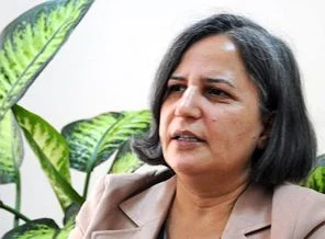 Kışanak: Ergenekon'a karşı PKK affı olmaz