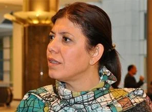 Meral Daniş Beştaş: Bu anayasa ile Kürt sorunu çözülmez