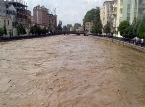 Sele 84 yılda bu kadar kurban verdik