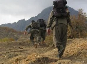 Siirt İzleme Heyeti: Sorunlar PKK'nın çekilmesini yavaşlatıyor