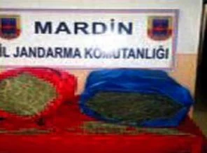 Sınırda esrar