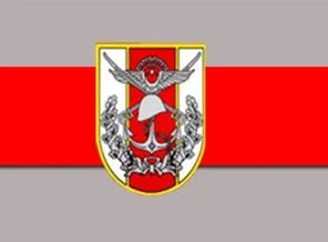 TSK müdahale açıklaması