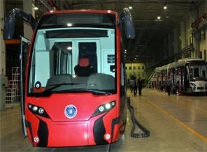 Türkiye'nin ilk yerlisi