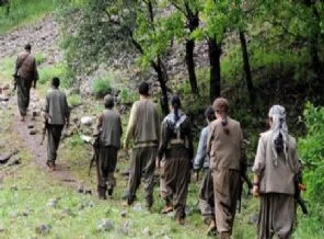 11 PKK'lı teslim oldu