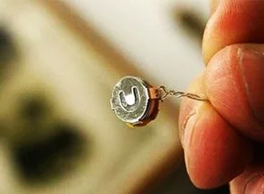 Ankara'daki böcek nereden çıktı?