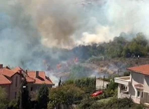 Beykoz'da korkutan orman yangını