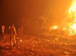 Bir orman yangını da Mersin'de