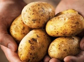 Çiftçi az ekti, patates fiyatları uçtu