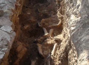 Cizre'de 20 insanın iskeleti bulundu