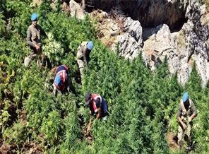 Diyarbakır'da narkotik operasyonu