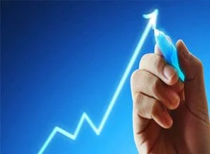 Döviz ve altın kazandırdı, borsa kaybettirdi