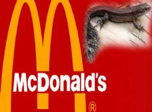 Hamburger devinde kertenkele skandalı!