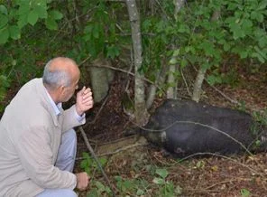 İnsan olan bunu yapmaz!